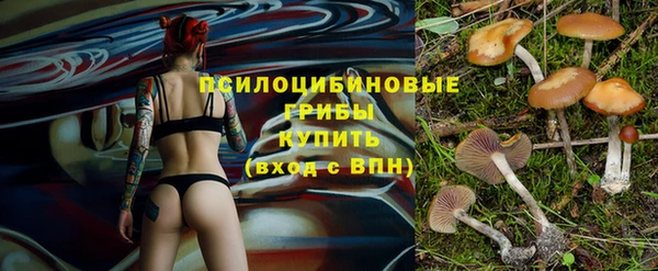 apvp Сосновка