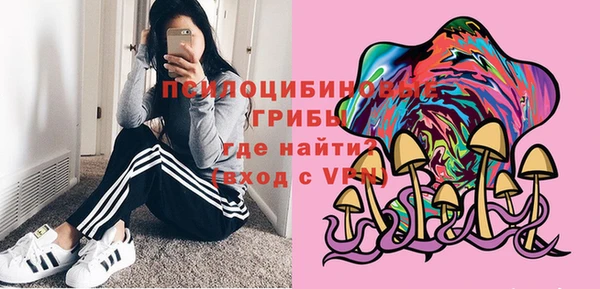 COCAINE Инсар