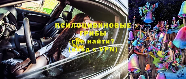 apvp Сосновка