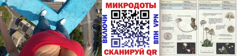 сайты даркнета наркотические препараты  купить наркоту  Судогда  Псилоцибиновые грибы Psilocybine cubensis 