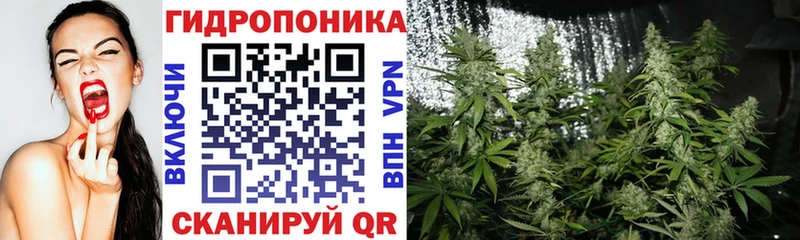 Шишки марихуана семена  Судогда 